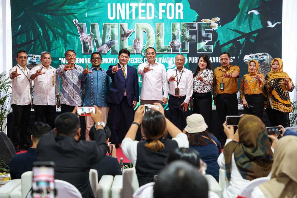 KBS Gandeng iZoo Jepang, Komodo Dipinjamkan Untuk Program Konservasi Global