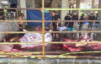 Sapi Kurban dari Khofifah hingga Menag RI Disalurkan PWNU Jatim untuk Warga