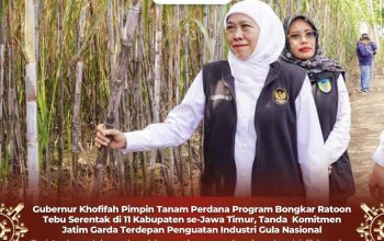 Gubernur Khofifah Pimpin Tanam Perdana Tebu Serentak di 11 Kabupaten, Jawa Timur Perkuat Posisi sebagai Lumbung Gula Nasional