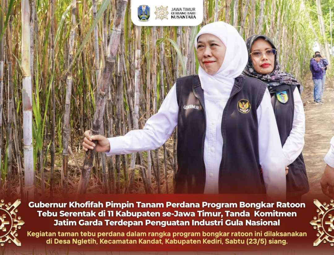 Gubernur Khofifah Pimpin Tanam Perdana Tebu Serentak di 11 Kabupaten, Jawa Timur Perkuat Posisi sebagai Lumbung Gula Nasional