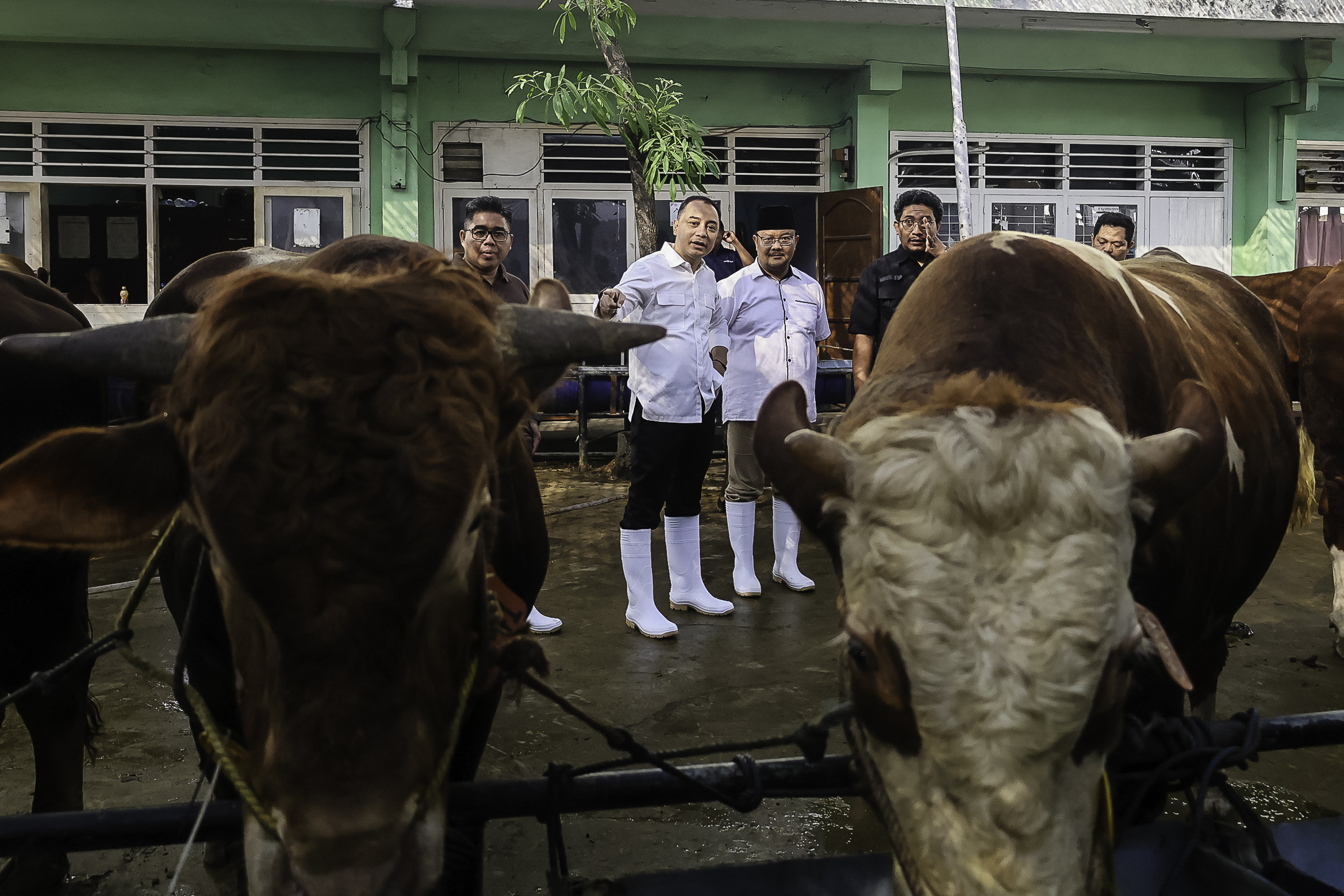Wali Kota Eri Cahyadi Terbitkan SE Idul Adha 2026, Hewan Kurban Masuk Surabaya Wajib Vaksin PMK dan Kantongi SKKH