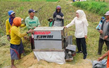 Produksi Padi Jatim Tertinggi Nasional, Tembus 7,71 Juta Ton GKG Pada Januari–Juli 2026