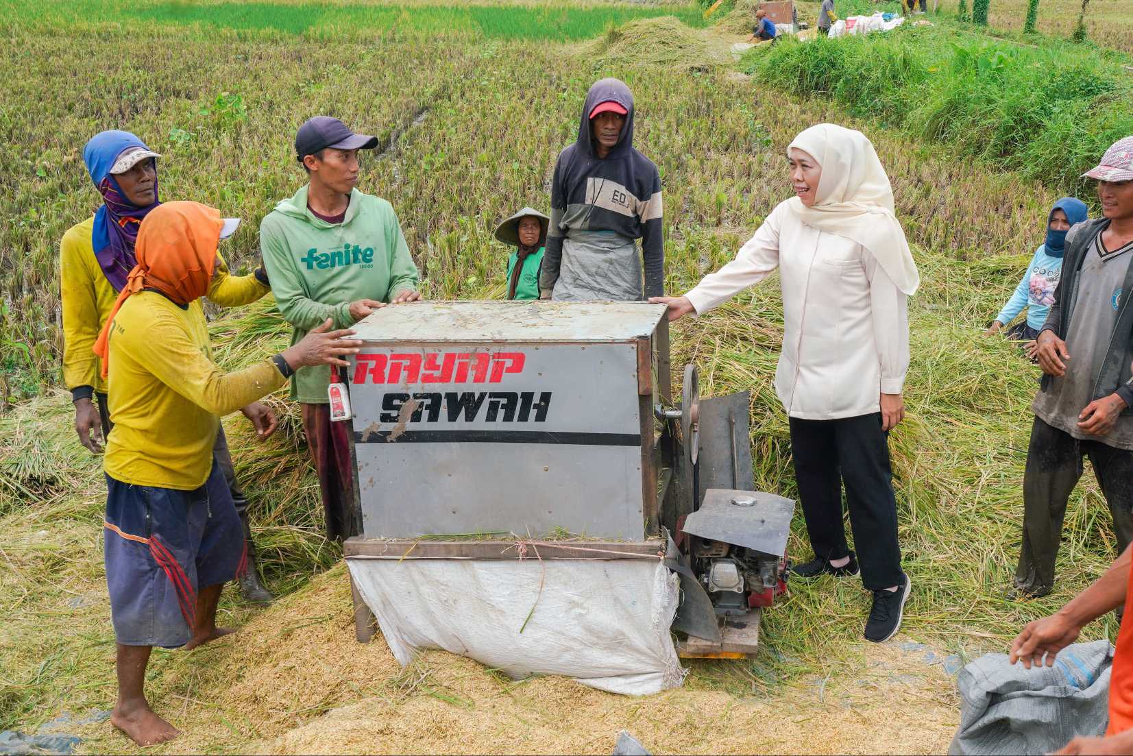 Produksi Padi Jatim Tertinggi Nasional, Tembus 7,71 Juta Ton GKG Pada Januari–Juli 2026