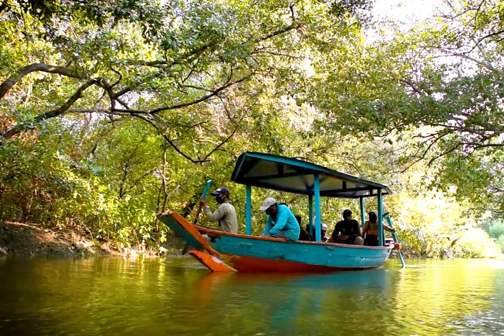 Kucing Bakau Hingga Kepiting Pemanjat Pohon Jadi Bukti Alami Terjaganya Ekosistem Mangrove Surabaya