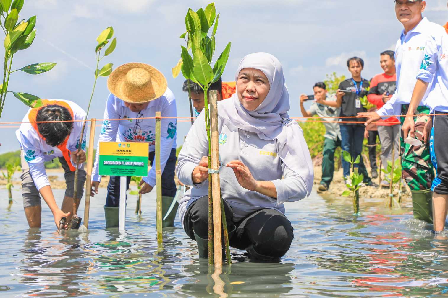Hari Mangrove Sedunia 2026, Gubernur Khofifah Ajak Warga Masif Menanam Mangrove Demi Pesisir dan Masa Depan Generasi