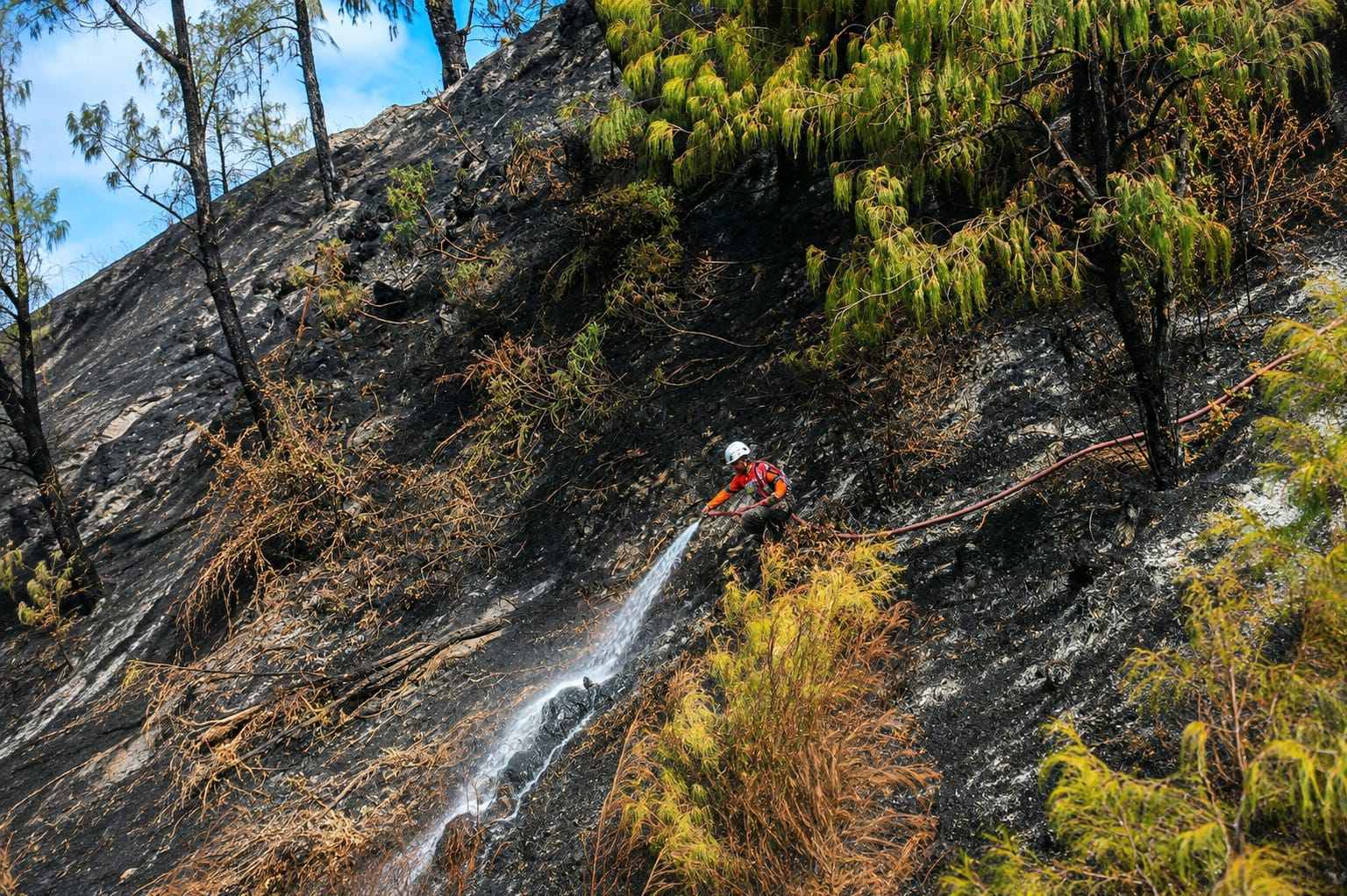 12 Hari Dilalap Api, Karhutla Bromo Akhirnya Padam