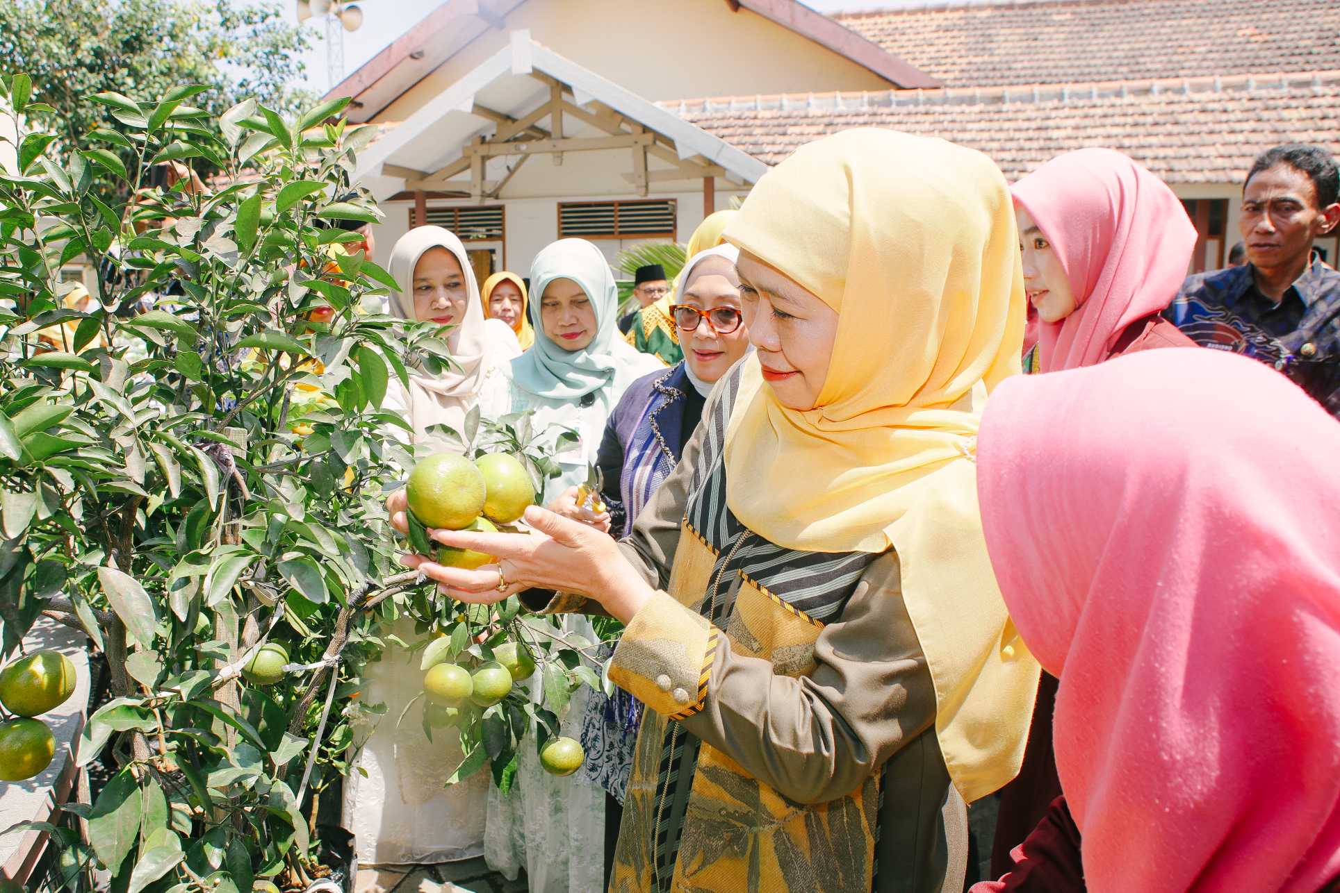 Gubernur Khofifah dan Menteri PPPA Arifah Fauzi Panen Inovasi: Sekolah Jombang Jadi Ladang Ketahanan Pangan