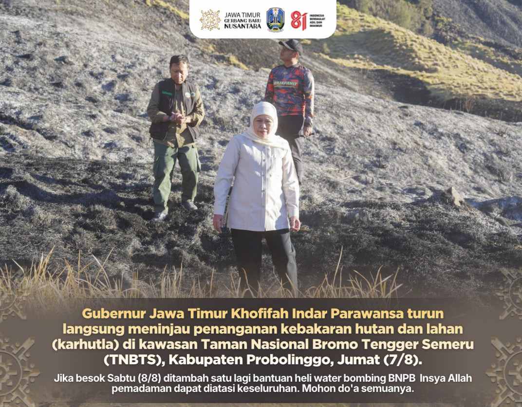 Gubernur Khofifah Tinjau Karhutla Bromo, Pastikan Operasi Darat dan Water Bombing Dimaksimalkan