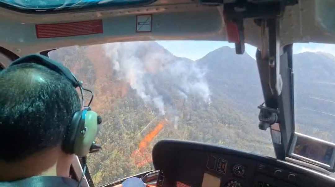 146 Hektare Tahura Raden Soerjo Dilalap Api, Lereng Arjuno Masih Membara