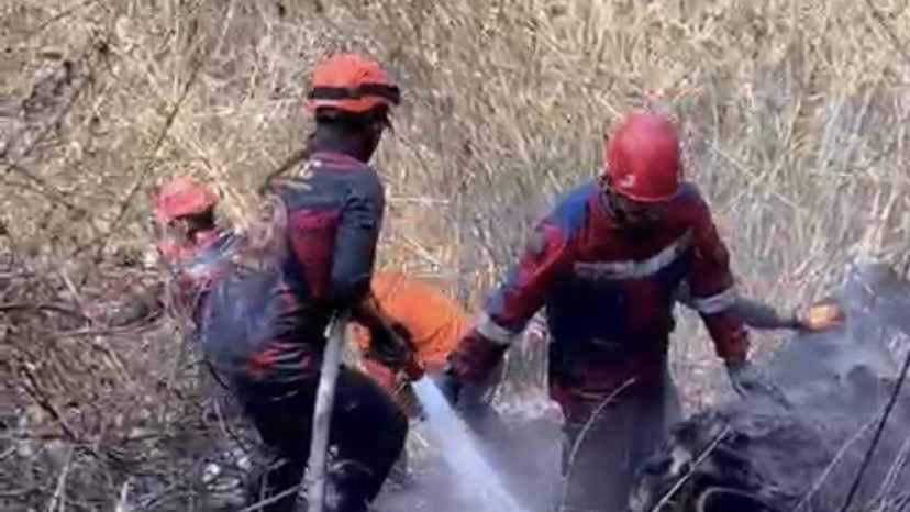 Pemkot Surabaya Kirim Damkar Bantu Padamkan Karhutla di Kawasan Bromo