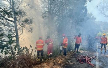 Karhutla Gunung Bromo Mereda, Titik Api Masih Tersisa di Jemplang hingga Gunung Kursi