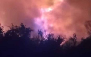 Kawah Ijen Ditutup Total Imbas Kebakaran Cagar Alam Merapi Ungup-Ungup
