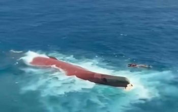 Tragedi KM Virgo Transport 8: 6 Tewas, 129 Orang Hilang di Laut Jawa
