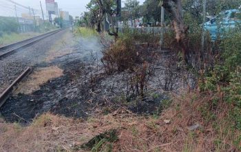 18 Titik Api Ancam Rel Kereta Api, KAI Daop 8 Surabaya Peringatkan Bahaya Asap bagi Masinis